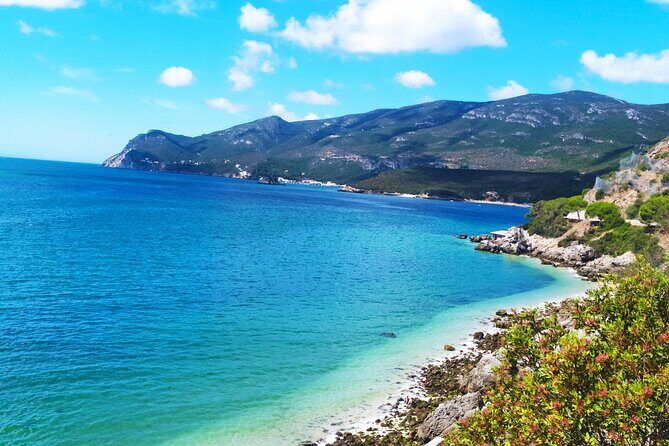 Lisbon: Serra da Arrabida, Setubal, Sesimbra private tour - Who Will Enjoy This Tour?