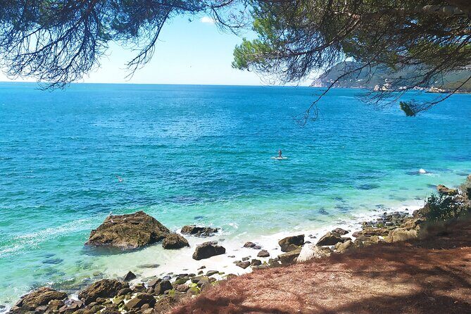 Lisbon: Serra da Arrabida, Setubal, Sesimbra private tour - Frequently Asked Questions