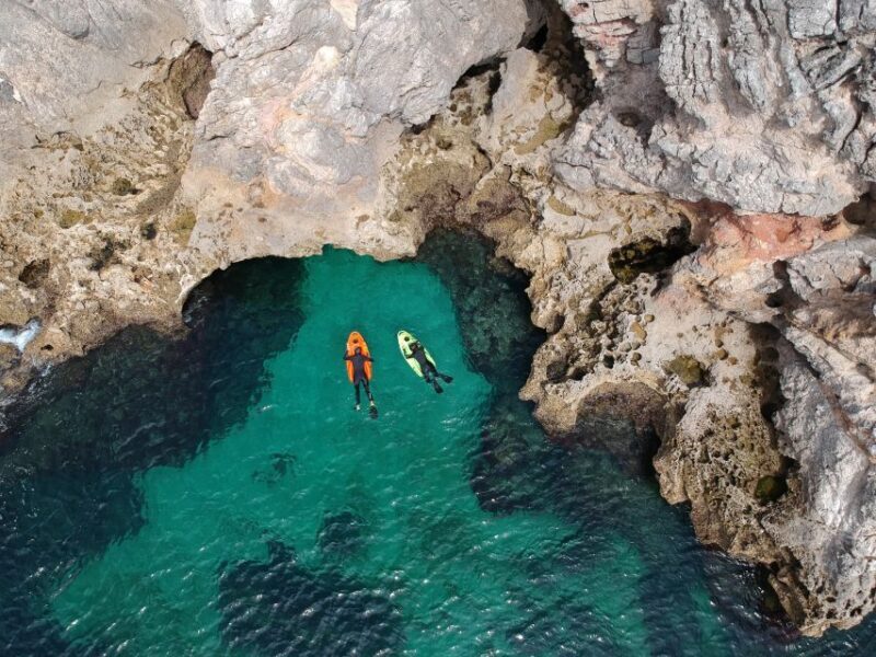 Lisbon: Sesimbra Underwater Exploration by Seaview Board - The Sum Up