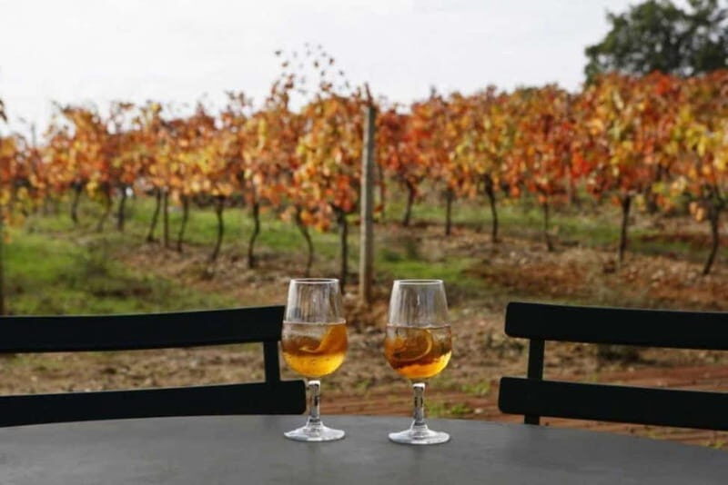 Lisbon: Setúbal, Arrábida and Azeitão Private Wine Tour - Exploring the Region: A Detailed Look