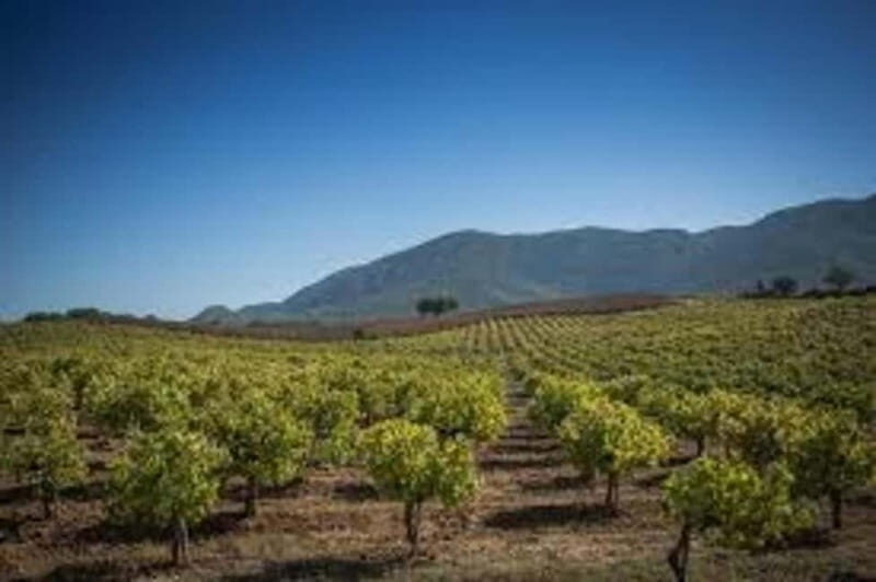 Lisbon: Setúbal, Arrábida and Azeitão Private Wine Tour - The Sum Up