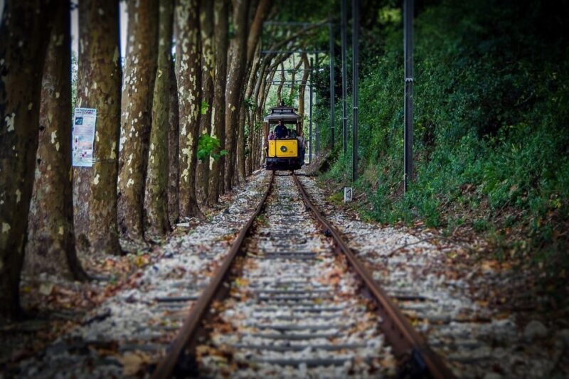 Lisbon, Sintra and Cascais: Full-Day Private Tour - Who Would Love This Tour?