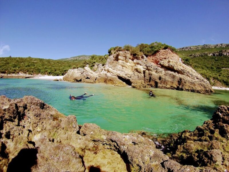 Lisbon: Snorkeling and Wine Tasting in Arrábida - Key Points