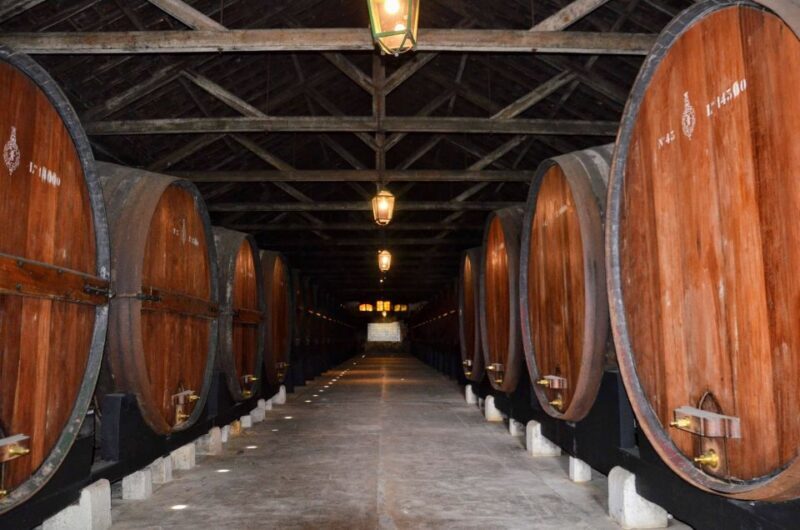 Lisbon: Snorkeling and Wine Tasting in Arrábida - Who Would Enjoy This Tour?