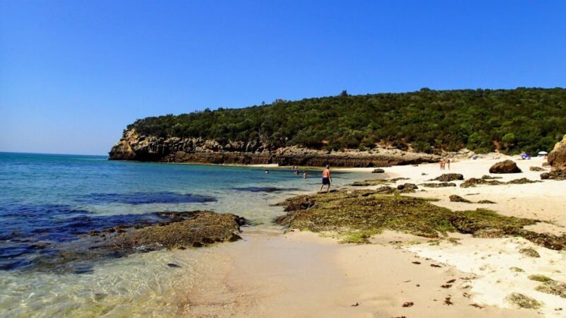 Lisbon: Snorkeling and Wine Tasting in Arrábida - Final Thoughts