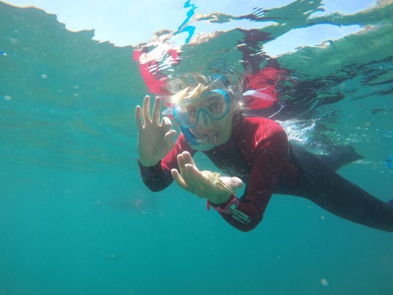 Lisbon: Snorkelling in Sesimbra/Arrábida Natural Park - What Makes This Snorkeling Tour Special?