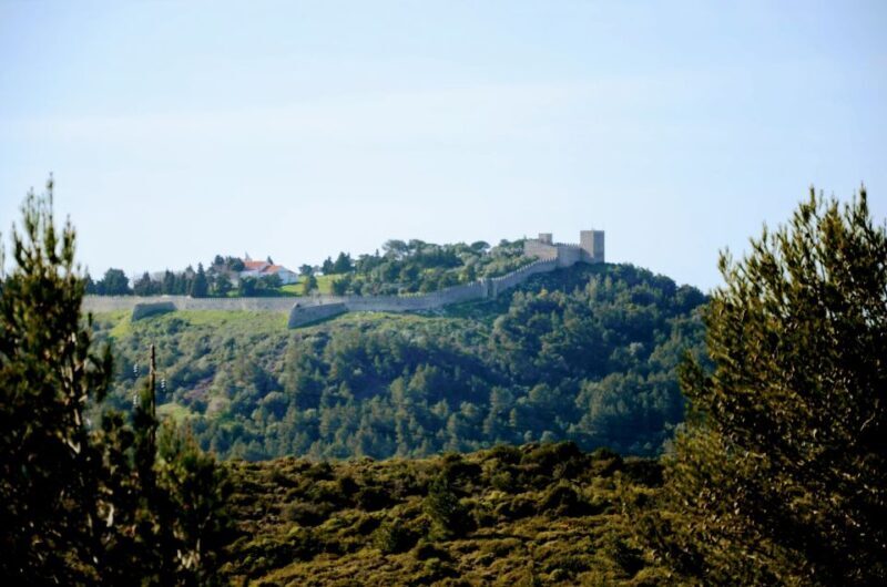 Lisbon: South City Sights and Cultural Tour with Wine - Deep Dive Into Each Stop