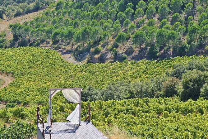 Lisbon Southern Region (Fernão Pó) Wine Tasting Private Tour - Price and Value