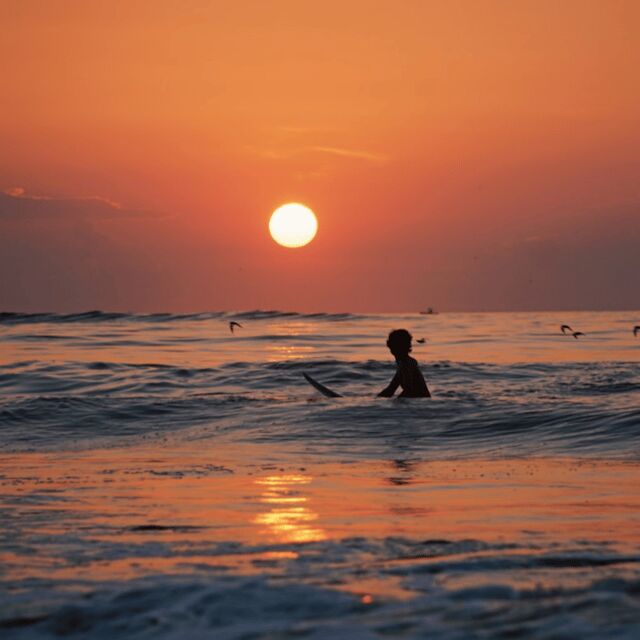 Lisbon: Sunset Surf Experience - Lisbon: Sunset Surf Experience — A Balanced Dive into Portugal’s Coastal Charm