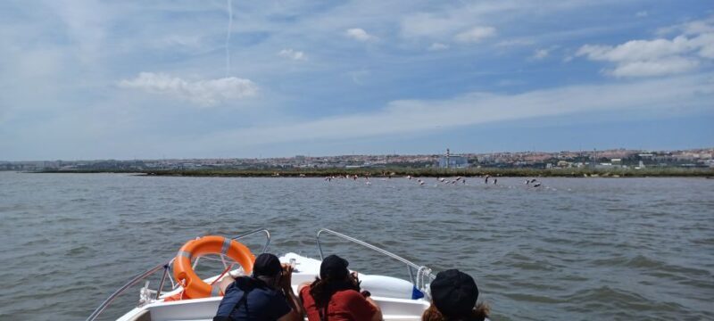 Lisbon: Tagus Estuary Nature Reserve Birdwatching Boat Tour - Who Will Love This Tour?