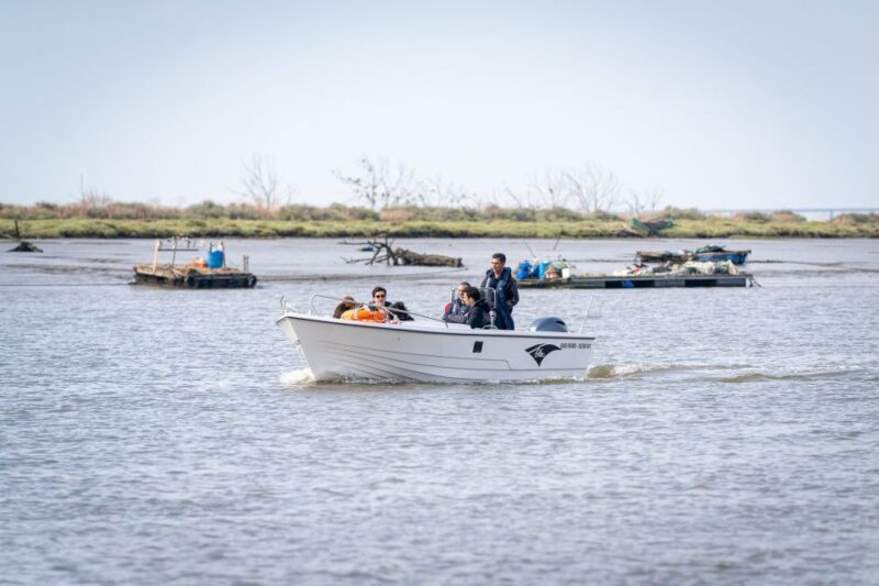 Lisbon: Tagus Estuary Nature Reserve Birdwatching Boat Tour - FAQs