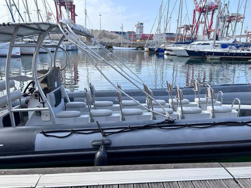 Lisbon: Tagus River Marine Wildlife Speedboating Adventure - A Detailed Look at the Marine Wildlife Speedboating Experience