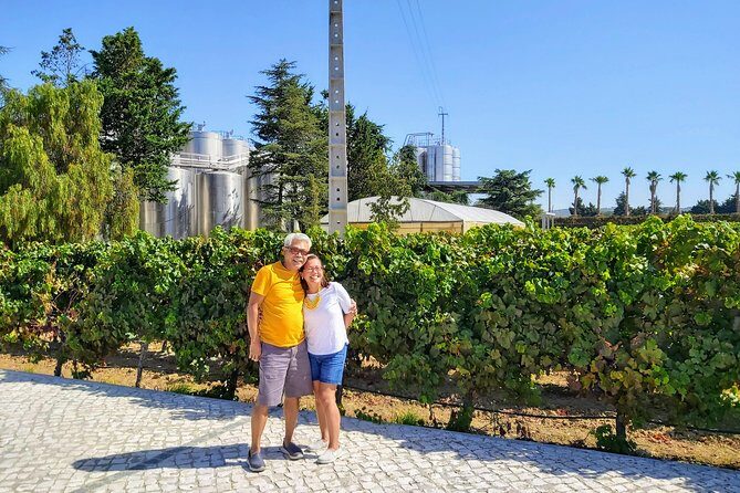 Lisbon & The South Side Wine Regions Private Luxury Tour - Transportation and Logistical Details