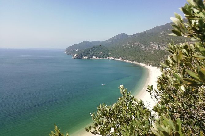 Lisbon & The South Side Wine Regions Private Luxury Tour - Who Should Consider This Tour?