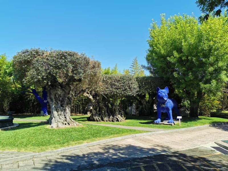 Lisbon to Wine Tasting Setubal, Two Cellars, Half Day Tour - A Practical Guide to the Lisbon to Setubal Wine Tour