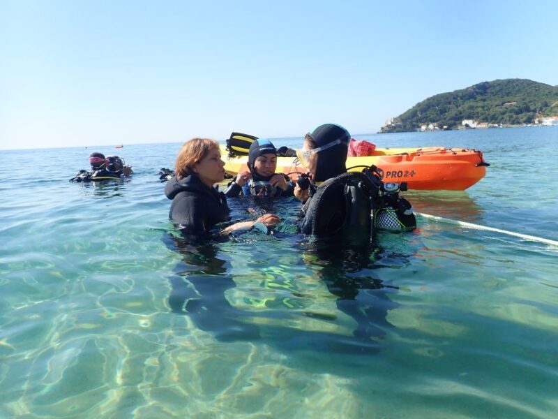 Lisbon: Try Dive in Arrábida Marine Reserve Setubal Sesimbra - A Deep Dive into the Experience