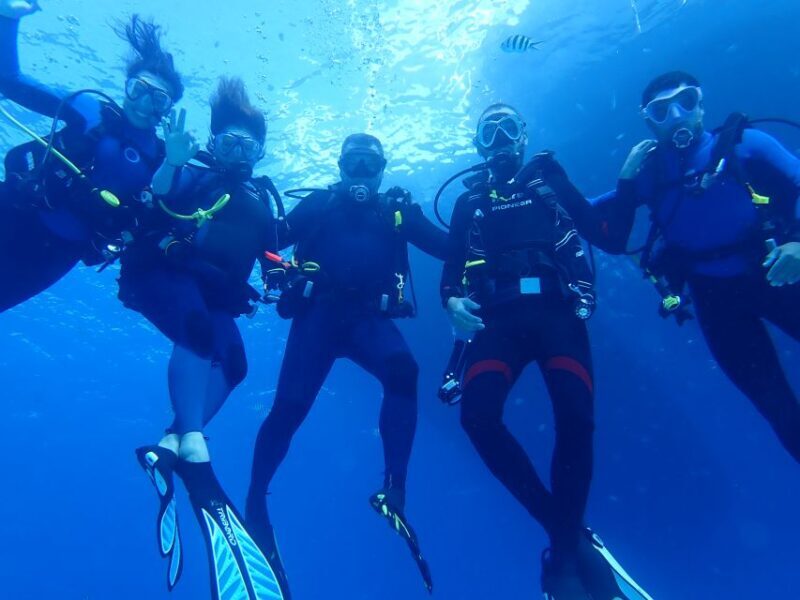 Lisbon: Try Dive in Arrábida Marine Reserve Setubal Sesimbra - Who Should Consider This?