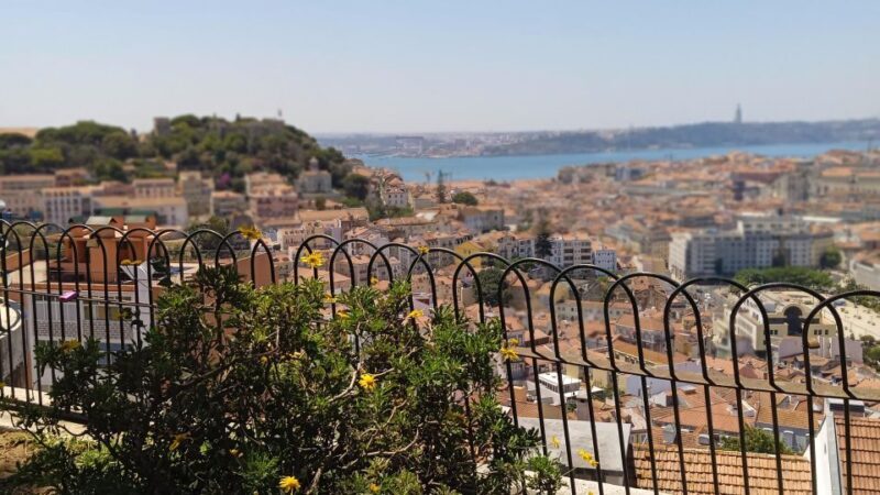 Lisbon Tuktuk Highlights Tour with Food and Wine Tastings - FAQs
