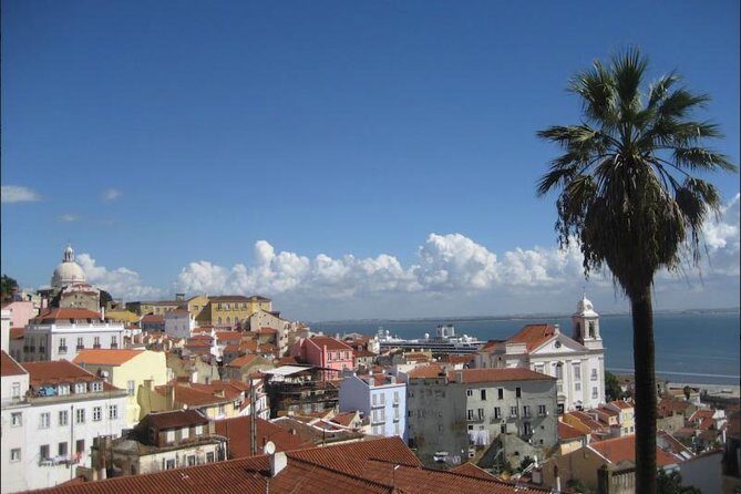 Lisbon walking tailored private tour (half day) - Summary