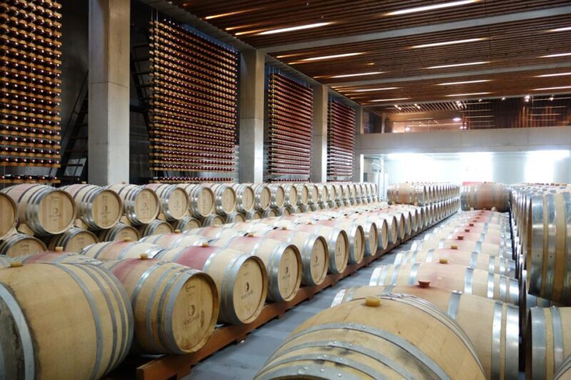 Lisbon Wine Tasting Private Tour - A Closer Look at the Lisbon Wine Tasting Private Tour
