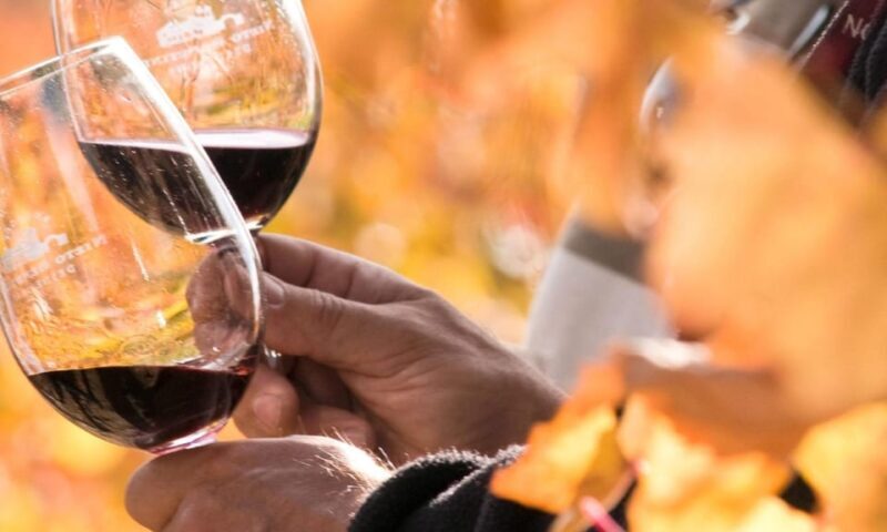 Lisbon Wine Tasting - Summing Up: Who Is It Best For?