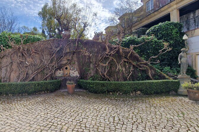 Lisbon Wine Tour: Azeitao, Setubal and Arrabida and Hotel Pickup - Concluding Thoughts: Who Is This Tour Best For?