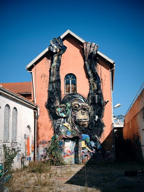 Lisbon with Tukxi: Street Art Lovers by Tuktuk - An In-Depth Look at the Lisbon Street Art Tuk-Tuk Tour