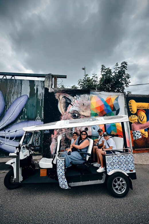 Lisbon with Tukxi: Street Art Lovers by Tuktuk - Who is This Tour Best For?