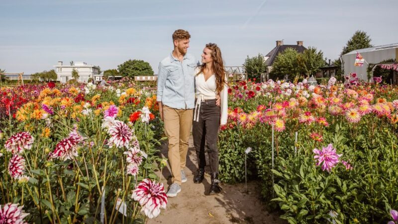 Lisse: Drive-it-Yourself Summer Flower GPS Audio Tour - Practical Details and Considerations