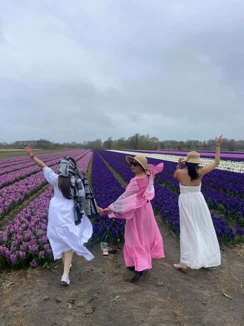 Lisse: Private Tulip Fields Tour with a Local Guide 1h Tour - Exploring the Tulip Tour in Lisse