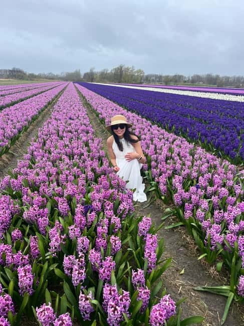 Lisse: Private Tulip Fields Tour with a Local Guide 1h Tour - Final Thoughts
