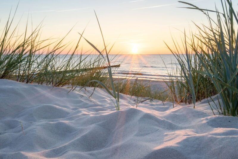 Lisse: Self-Drive Electric Car Dune and Beach Audio Tour - Exploring South Holland in a Twizy: A Detailed Review