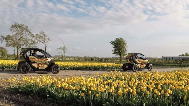 Lisse: Self-Guided Tulip Fields GPS Audio Tour - Key Points