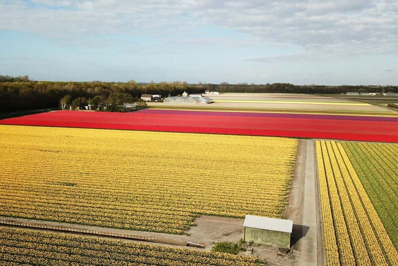 Lisse: Self-Guided Tulip Fields GPS Audio Tour - A Detailed Look at the Tulip Fields GPS Audio Tour