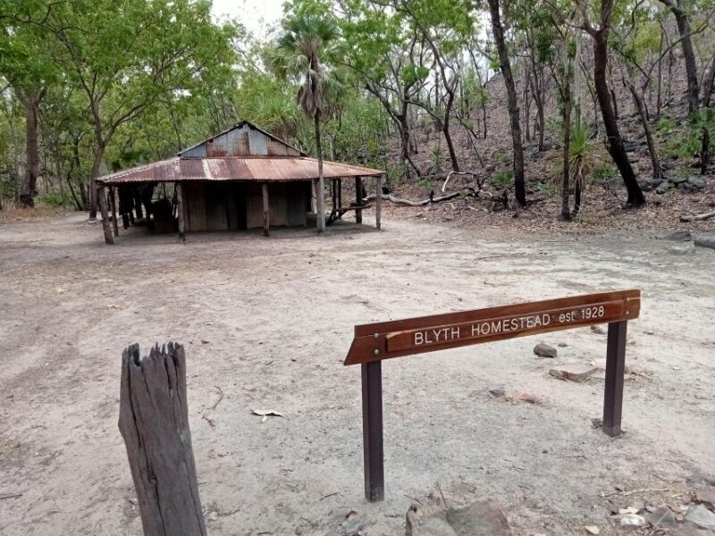 Litchfield 2 Day Tour. NT Top Adventures - Private Tour - Exploring the Itinerary: What You Can Expect