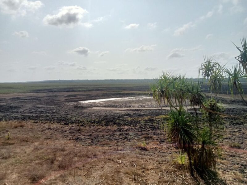 Litchfield 2 Day Tour. NT Top Adventures - Private Tour - Frequently Asked Questions