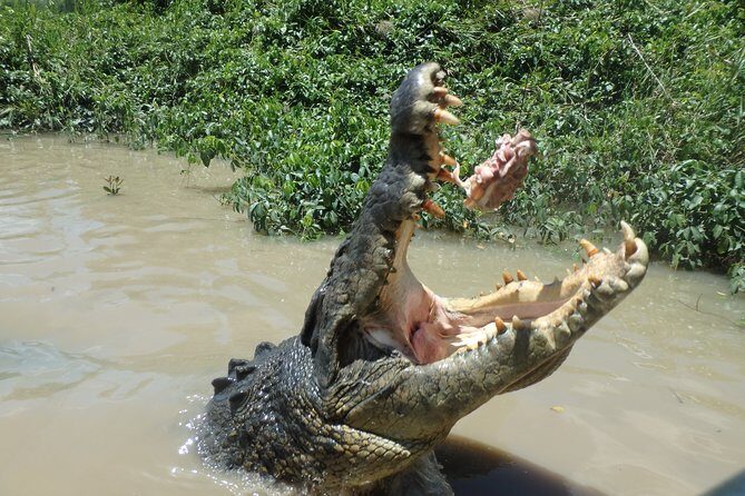 Litchfield and Jumping Crocodiles Full Day Trip from Darwin - Frequently Asked Questions