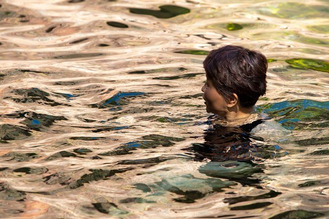 Litchfield National Park Day Tour from Darwin - FAQ