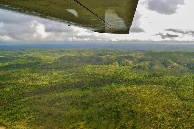 Litchfield Park & Daly River - Scenic Flight From Darwin - Final Thoughts: Who Should Consider This Tour?