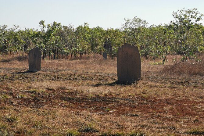 Litchfield Premium Day Tour, 10 guests only, lunch included - Discovering Litchfield: An Authentic Outback Day Out