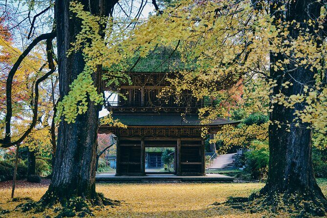 Little Adventure with Cycling in Tokyo No. 1 Crystal Clear River - Who Would Love This Tour?
