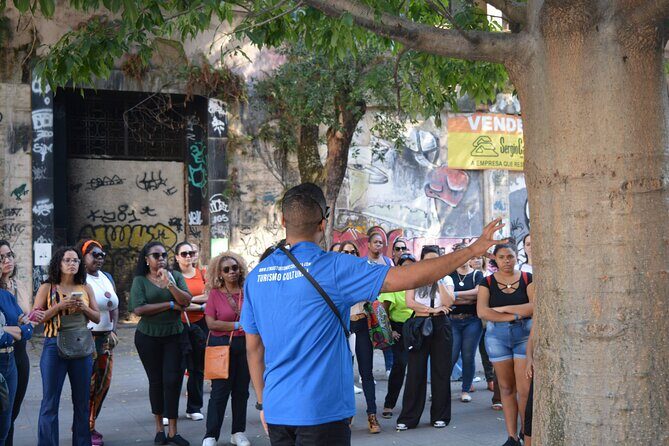 Little Africa Walking Tour in Rio de Janeiro Small-Group trip - Who Will Love This Tour?