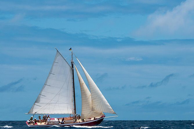 Little Bay Half-Day Sail & Snorkel Adventure - Who Would Love This Tour?