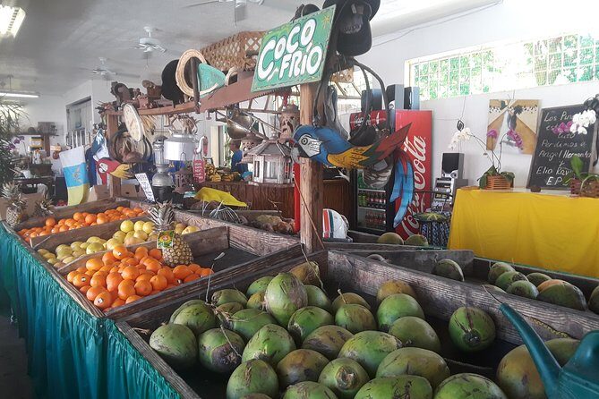 Little Havana Food museums performing arts galleries music cigars - Potential Drawbacks