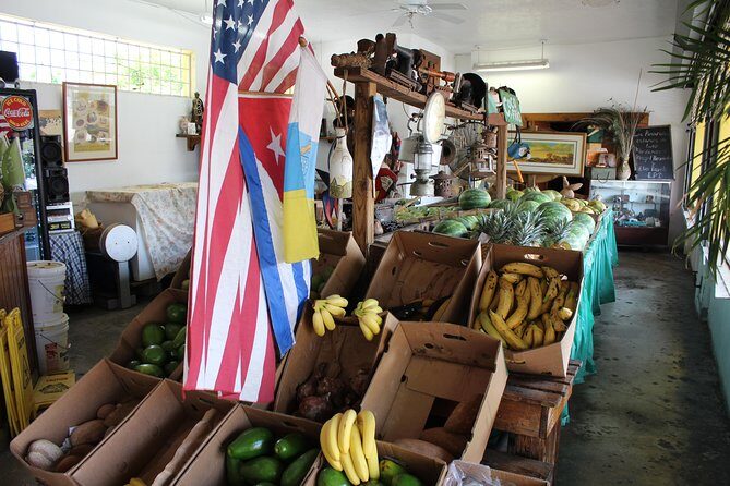 Little Havana Street Food Tour with Enthusiastic Guide - Practical Tips for Travelers