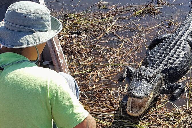 Little Havana Walking Tour + 1 Hour Everglades Airboat Ride - Final Thoughts