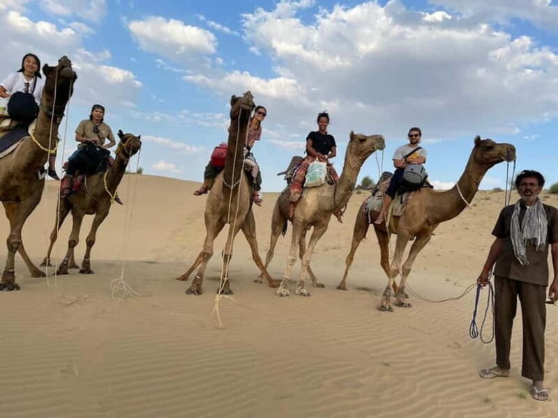 Little Prince Camel Safari with Overnight - Who Would Love This Trip?