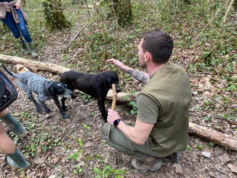 Livade: Guided Truffle Hunting Walking Tour - The Sum Up: Is It Worth It?