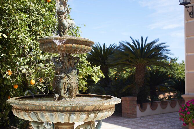 Live an Experience Among Orange Trees in Huerto Ribera - The Sum Up: Why You Should Try It