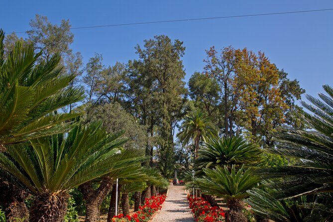 Live an Experience Among Orange Trees in Huerto Ribera - FAQ